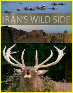 الفيلم الوثائقي الحياة البرية في ايران Irans Wild Side مترجم