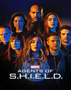 مسلسل Agents Of S.H.I.E.L.D الموسم السادس مترجم