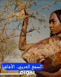 الفيلم الوثائقي مصدر الصمغ العربي الأقاقيا