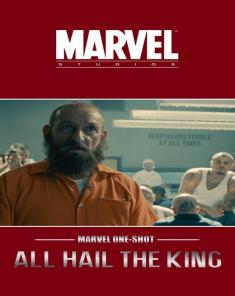 فيلم Marvel One-Shot: All Hail the King 2014 مترجم 