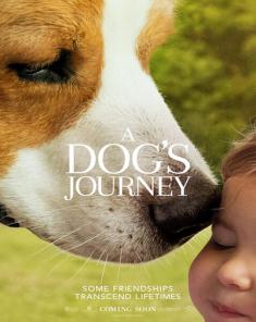 فيلم A Dog's Journey 2019 مترجم 