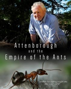 الفيلم الوثائقي Attenborough and the Empire of the Ants 2017 مترجم