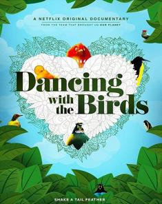 الفيلم الوثائقي الرقص مع الطيور Dancing With The Birds 2019 مترجم