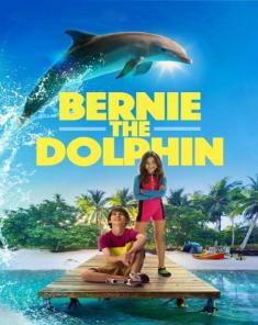 فيلم Bernie the Dolphin 2 2019 مترجم 